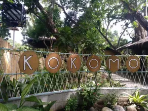 Kokomo Dive Resort Accommodation Hotel - Image 4