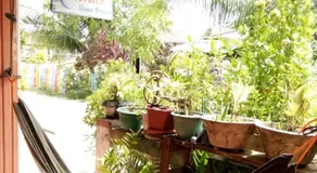 Novita Homestay - Image 3