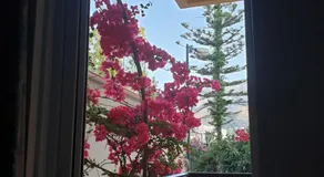 Drosia Hotel - Image 3
