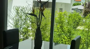 Casa do Pitoco - Image 3
