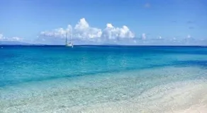 Tropical Place - Image 5