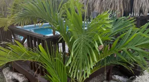 Azteca Villas - Image 5