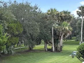 Palm Harbor #15 - Image 3