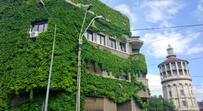 Central GREEN HOUSE - Image 3