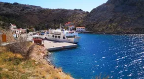 Willa Ferry **** - Image 5
