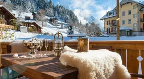 Panoramapark Soleil Chalet C - Image 3