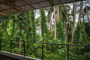 6BD LUX stunning pool Ubud - Image 5