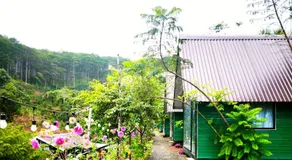 Homestay Ngỏ Nhỏ - Image 3