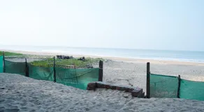 VT beach stay - Image 2