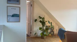 Svane's Air-bnb - Image 5