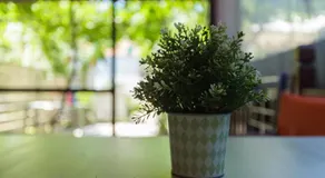 Garden Guest Room - Image 5