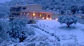 Hotel Theasi - Image 5