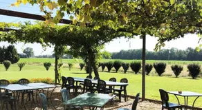 Agriturismo Le Colombaie - Image 3
