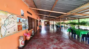 Hostal Sol de Verano Doña Lilia - Image 2
