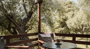 Lithies Organic Farm - Image 4