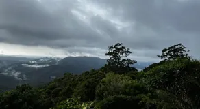 Green Cauldron, Homestay, Tamborine Mountain, Private Room, Ensuite, Private Courtyard, Gold Coast Views - Image 4