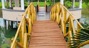 Sundarban Beckons - Image 5
