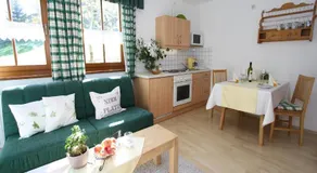 Apartment in Hüttschlag near Ski Bus - Image 5