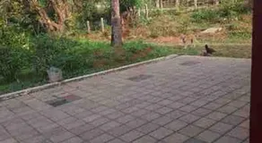 Gandagatta Home Stay - Image 4