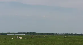 Vakantiehuis - Image 5