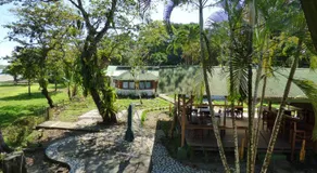 Corcovado Beach Lodge - Image 5