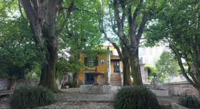 Camelia Rooms - Image 4