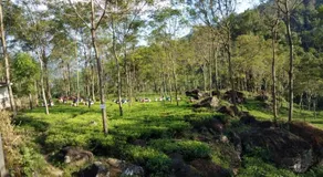Poomong Homestay - Image 3