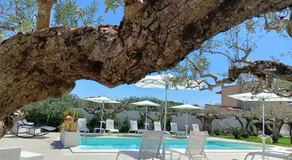 B&B Signorino - Image 3
