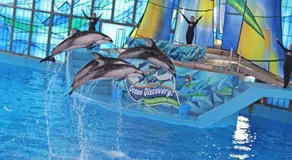 Hot-tub, GameRoom & BBQ by Lackland - SeaWorld - Image 4