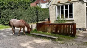 The Pigs' Pantry, Burley - Image 4