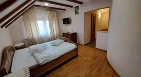 Vila Grecu - Image 2