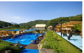 Yangpyeong Why Glamping - Image 2