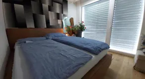 Penthouse in Schaan - Image 2