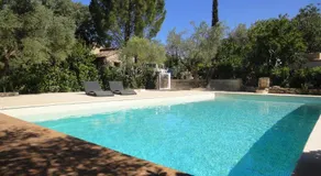 Les Olives - Image 3