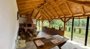 Liniștea Muntilor Cartioasra - Image 3