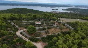 Magunja - Image 5