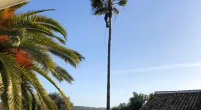 Quinta Quinze - Image 4