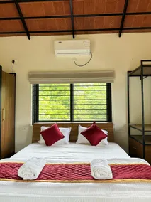 Macadamia - Image 5