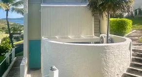 Tropical Oasis - Image 2