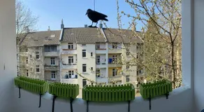 Alles was man braucht, 1-Zimmer Wohnung - Image 4