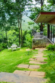 Heliconia Ledge - Image 4