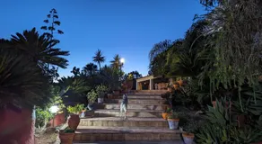 Casa do Palmeiral - Hoom B&B - Image 5