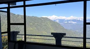 Pinepeak - Image 3