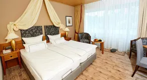 Camera doppia Waldblick - Hotel-Restaurant Panorama - Image 2