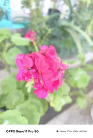 Rishop Mountain Homestay - Image 3