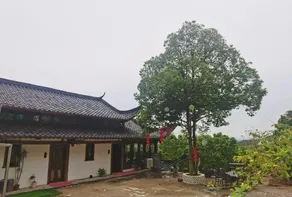 Nantai Wofoshan Cliff Cave Homestay - Image 4