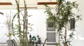 Relax under the mulberry tree - Image 5