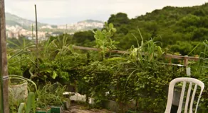 Casa Rover - Floripa - Image 5