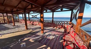 Free Beach Camp - Image 2