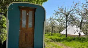 Bowhayes Farm - Camping & Glamping - Bell Tents - Cider Orchard - Image 5